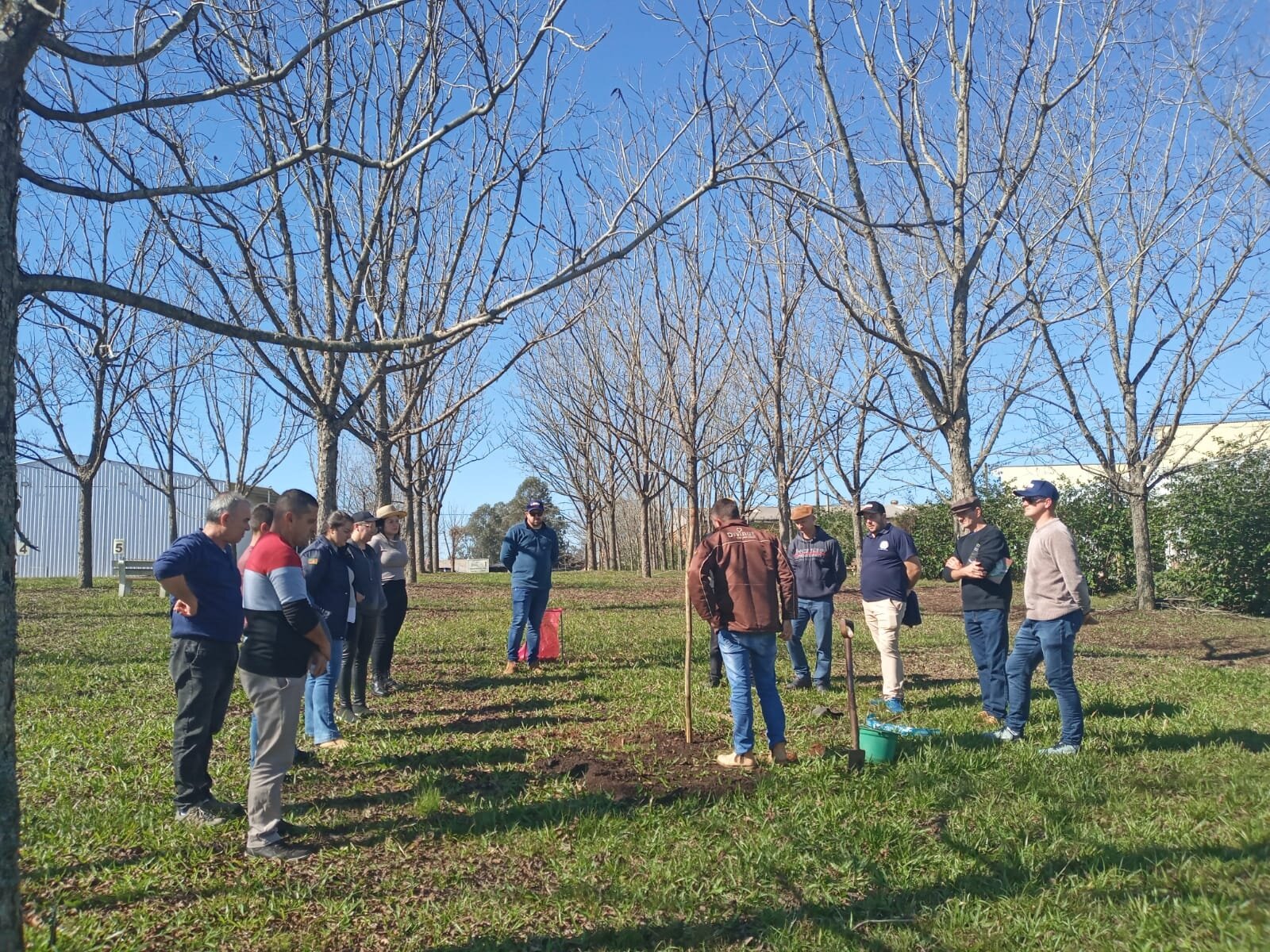 Curso Técnico Básico de Implantação e Manejo de Nogueira-Pecã (1)