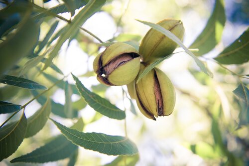 WhatsApp Image 2026-03-04 at 09.56.07